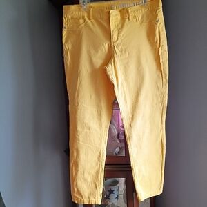 🤑New York & Company Yellow Chinos with Tapered Ankle